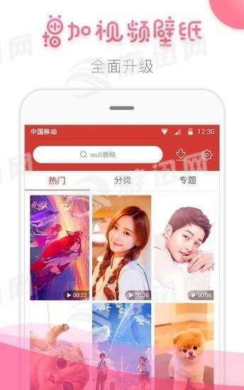 桔子壁纸免费版