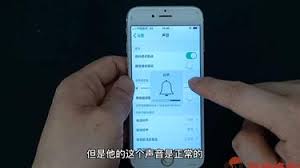 苹果手机来电没声音怎么办