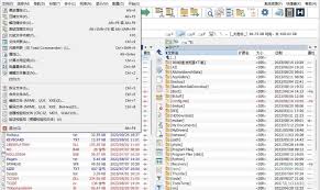 Total Commander如何设置中文