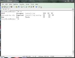 SecureCRT怎么修改字符编码