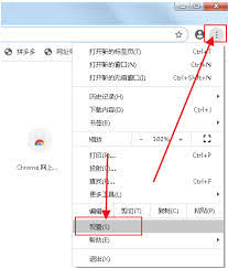 谷歌浏览器如何设置标准预加载功能