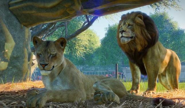 动物园之星免费版