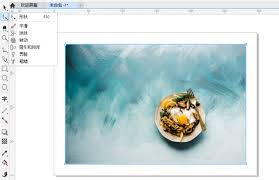Coreldraw12怎么把图片裁剪成想要的形状