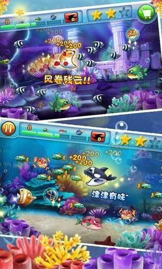 大鱼吃小鱼双人官网版