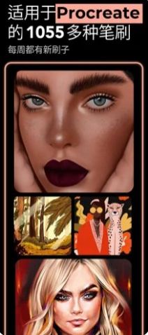 brushesforprocreat手机版