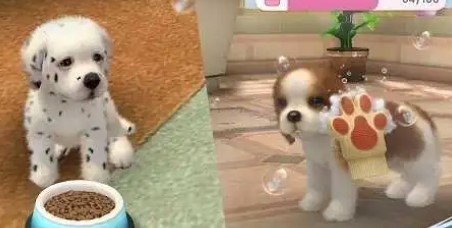 女生玩的小狗养成游戏