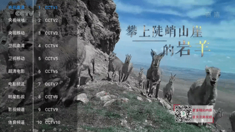 新喵影视安卓版