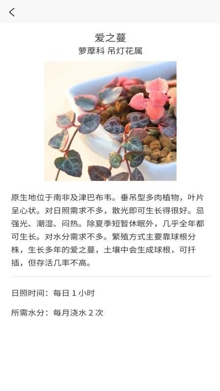 嘟嘟多肉植物鉴官网版